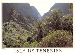 Espagne TENERIFE MASCA - Tenerife
