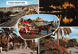 Espagne MALLORCA PALMA - Mallorca