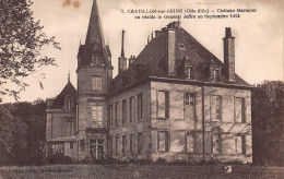 21 CHATILLON SUR SEINE CHÂTEAU MARMONT - Chatillon Sur Seine