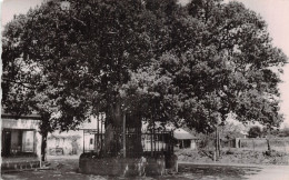 40 BERCEAU DE SAINT VINCENT DE PAUL - Sonstige & Ohne Zuordnung