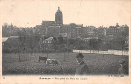 59 AVESNES PONT DES DAMES - Avesnes Sur Helpe