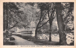 21 CHATILLON SUR SEINE LA SOURCE DE LA DOUIX - Chatillon Sur Seine