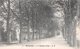 37 MARMOUTIER LA GRANDE ALLEE - Autres & Non Classés