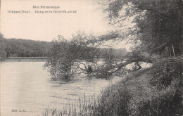 60 COYE ETANG DE LA REINE BLANCHE - Sonstige & Ohne Zuordnung