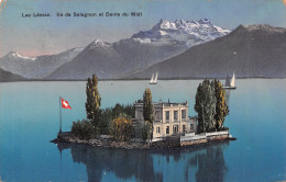 SUISSE LAC LEMAN - Sonstige & Ohne Zuordnung