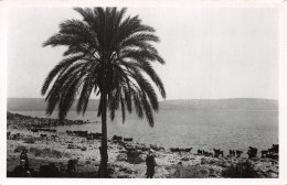 ISRAEL JERUSALEM SEE OF GALILEE - Israele