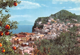 Italie CAPRI - Napoli (Naples)