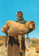 ISRAEL - A Shepherd - Homme Tenant Un Mouton Dans Ses Bras - Carte Postale - Israel