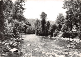 15 GORGES DE L ALLAGNON - Other & Unclassified