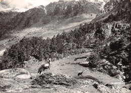 65 LES HAUTES PYRENEES - Altri & Non Classificati