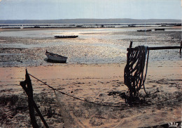 33 ARCACHON LE BASSIN - Arcachon