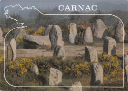 56 CARNAC - Carnac