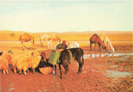 ISRAEL - Judean Desert - Près De La Source Dans Le Desert - Animé - Dromadaires - Carte Postale - Israël