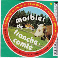 C1431 FROMAGE MORBIER BESANCON DOUBS - Formaggio