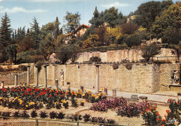 84 VAISON LA ROMAINE - Vaison La Romaine