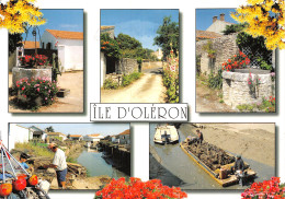 17 ILE D OLERON - Ile D'Oléron