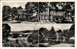CPA Nieheim In Westfalen, Pension "Gut Externbrock" - Autres & Non Classés