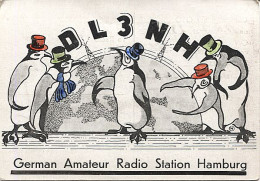 X120865 CARTE QSL RADIO AMATEUR  ALLEMAGNE GERMANY DEUTSCHLAND HAMBURG EN 1952 ? 1957 ? PINGOUINS OU MANCHOTS - Radio Amateur