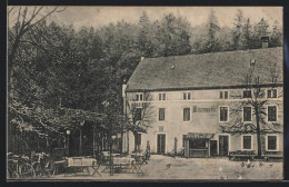 AK Langebrück, Gräfl. V. Brühl`sche Marienmühle Im Seitersdorfer Tal  - Autres & Non Classés