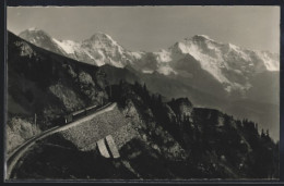 Foto-AK Emanuel Gyger: Bergbahn Interlaken-Schynige Platte, Eiger, Mönch, Jungfrau  - Other & Unclassified