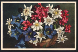 Foto-AK Emanuel Gyger: Edelweiss, Gentiana Kochiana, Rhododendron Ferrugineum  - Andere & Zonder Classificatie