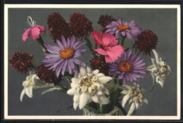 Foto-AK Emanuel Gyger: Dianthus Silvester, Aster Alpinus, Blumen  - Sonstige & Ohne Zuordnung