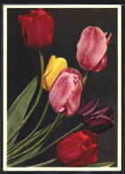 Foto-AK Emanuel Gyger: Tulpen  - Otros & Sin Clasificación