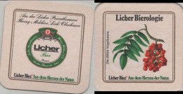 5005988 Bierdeckel Quadratisch - Licher - Beer Mats