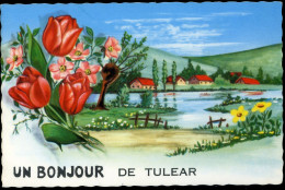 UN BONJOUR DE TULEAR PICARD - Madagaskar