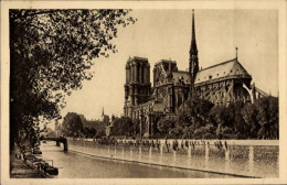 CPA Paris IV Ile De La Cité, Kathedrale Notre-Dame, Square De L'Archeveche - Other & Unclassified