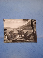 Malcesine-lago Di Garda-fg-1959 - Autres & Non Classés
