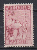 Belgique: COB N° 381: Neuf, MH, *, Avec Charnière. TB !!! - Nuevos