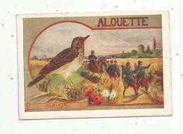 Chromo, Animaux ,oiseau, ALOUETTE , ALAUDA - Altri & Non Classificati