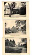Cp , 44 , MAUVES SUR LOIRE , Villa EDOUARD , Vierge , Pas D'éditeur , LOT DE 3 CARTES POSTALES - Mauves-sur-Loire