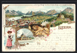 Lithographie Luzern, Teilansicht Vom Gütsch, Bahnhof, Löwendenkmal  - Lucerne