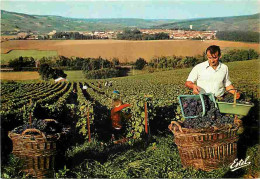 Vignes - Champagne - Vendanges - Le Vendangeur Vide Les Paniers Dans Les Mannequins - CPM - Voir Scans Recto-Verso - Vigne