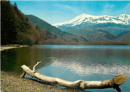 63 - Lac Chambon - Les Monts Du Sancy - CPM - Carte Neuve - Voir Scans Recto-Verso - Autres & Non Classés