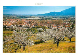 66 - Céret - Quand Les Cerisiers Fleurissent Autour De Céret - CPM - Voir Scans Recto-Verso - Other & Unclassified