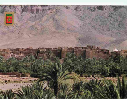 Maroc - Zagora - Vallée Du Draa - CPM - Voir Scans Recto-Verso - Andere & Zonder Classificatie
