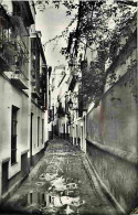 Espagne - Sevilla - Calle De La Pimienta - CPM - Voir Scans Recto-Verso - Sevilla