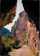 48 - Les Gorges Du Tarn - Perspective Au Sortir D'un Tunnel - Etat Pli Visible - Flamme Postale - CPM - Voir Scans Recto - Gorges Du Tarn