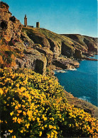 22 - Le Cap Fréhel - Les Falaises Et Le Phare - Carte Neuve - CPM - Voir Scans Recto-Verso - Cap Frehel