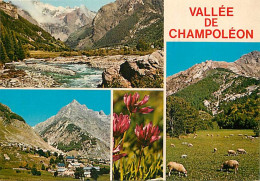 05 - Hautes Alpes - Vallée De Champoléon - Multivues - Moutons - CPM - Voir Scans Recto-Verso - Altri & Non Classificati