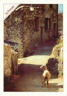 Animaux - Moutons - Provence - Vieilles Pierres - CPM - Voir Scans Recto-Verso - Other & Unclassified