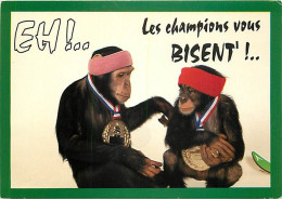Animaux - Singes - Chimpanzé - Carte à Message - Sport - Médailles D'or - CPM - Voir Scans Recto-Verso - Affen
