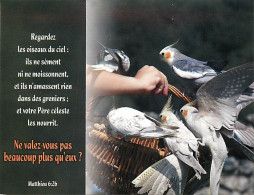 Animaux - Oiseaux - A Définir - Cacatoès ? - CPM - Voir Scans Recto-Verso - Birds