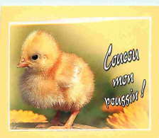 Animaux - Poussins - Poussins - Thème De Pâques - CPM - Voir Scans Recto-Verso - Autres & Non Classés