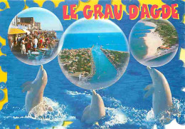 Animaux - Dauphins - Le Grau D'Agde - Multivues - CPM - Voir Scans Recto-Verso - Delphine