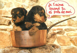 Chiens - CPM - Voir Scans Recto-Verso - Chiens