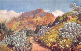 South Africa - CAPE TOWN - Table Mountain From Signal Hill - Publ. Hortors  - South Africa